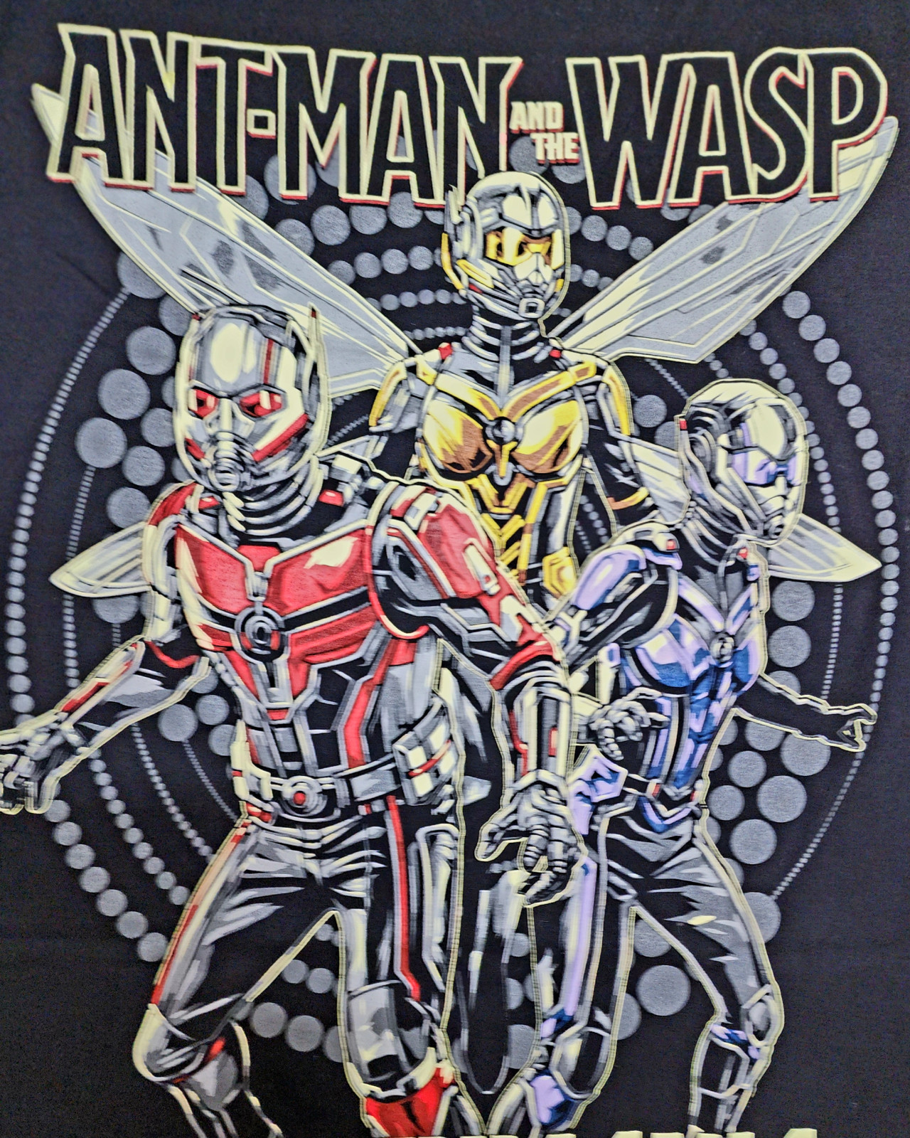 Marvel - Ant-Man & The Wasp - Image 2