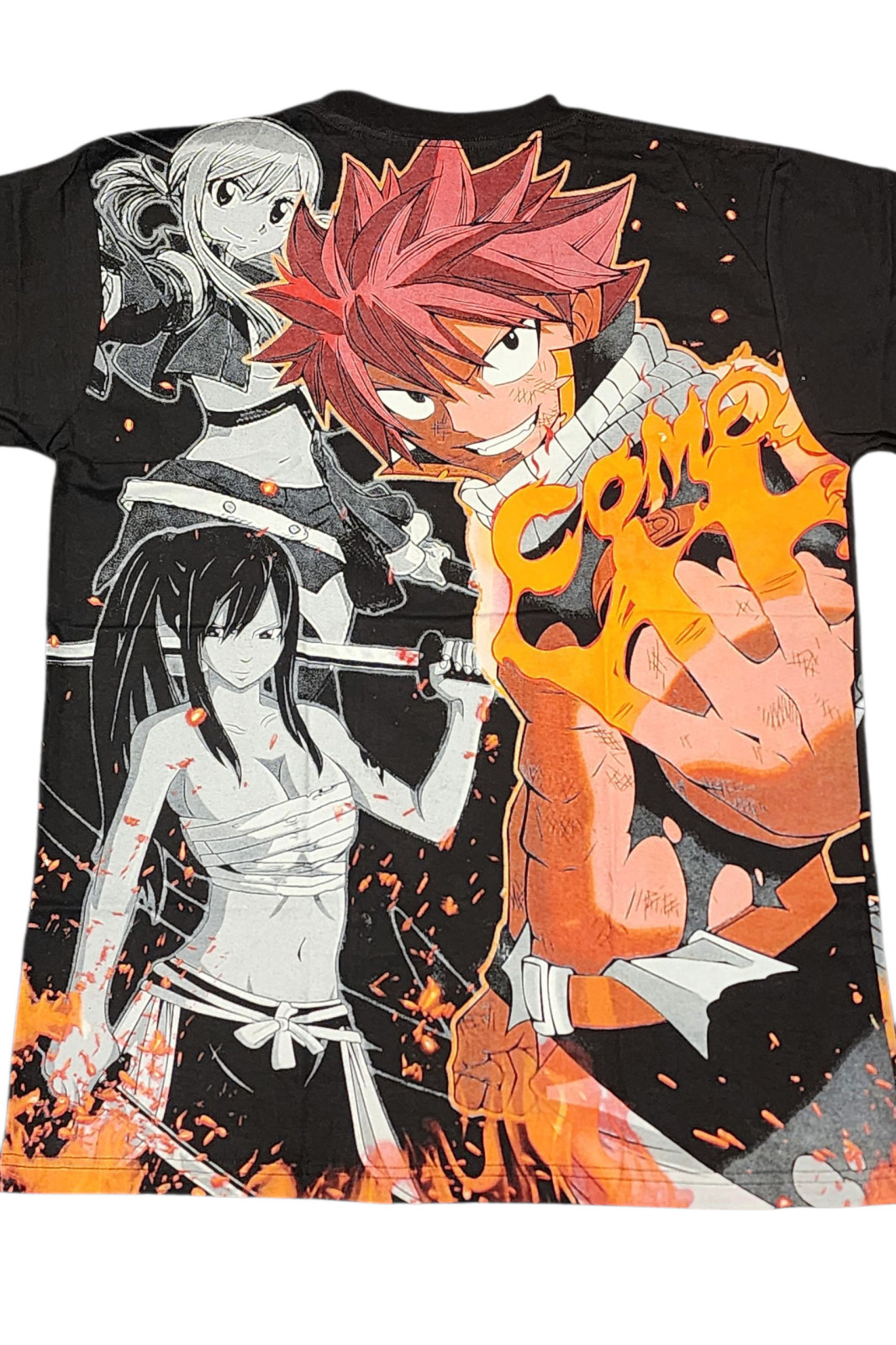 Fairy Tail - Image 2